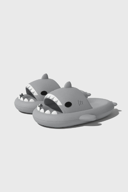 Shark Slippers Grey